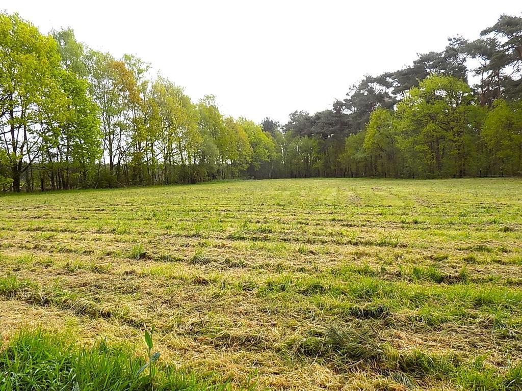 Verblijfpark De Brem Lille Dış mekan fotoğraf